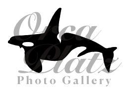 Orca Platz - Photo Gallery -